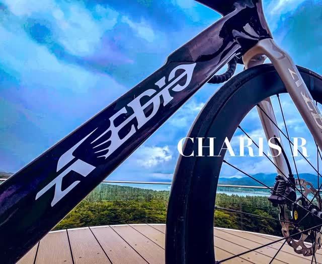 AVEDIO - エヴァディオ ロードバイク AVEDIO エヴァディオ 日本